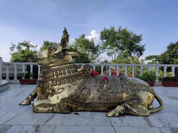 The presence of nandi wit