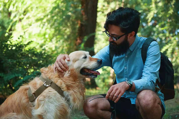 Dog Lover