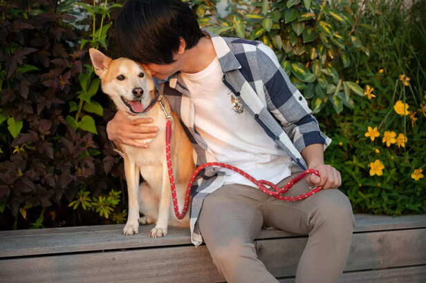 Protective collar
