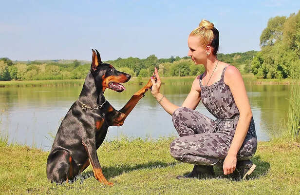 Bonding with pets