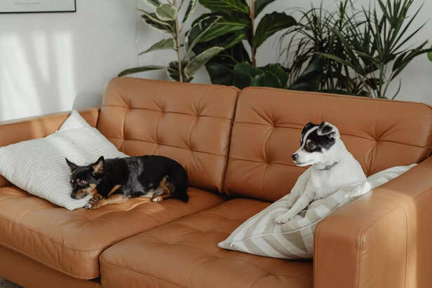 apartment rules