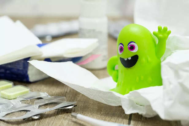 immune system