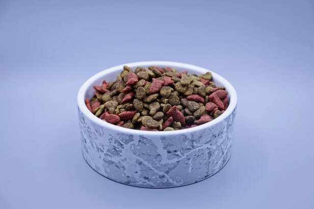 pet food