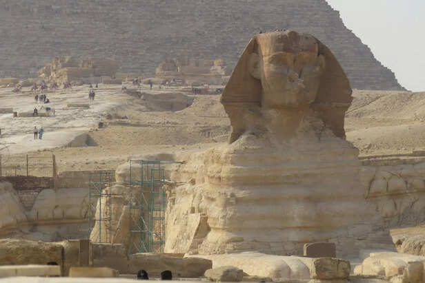 Animals in Ancient Temple