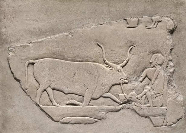 The Holy Beasts of Ancien