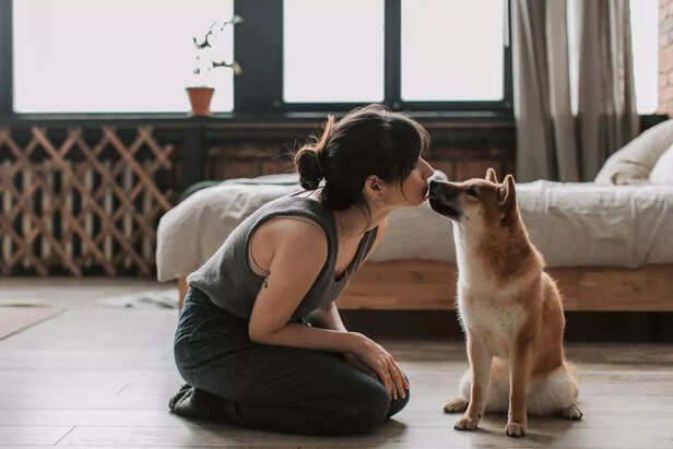 Dogs as blessings