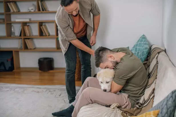 comforting Dog