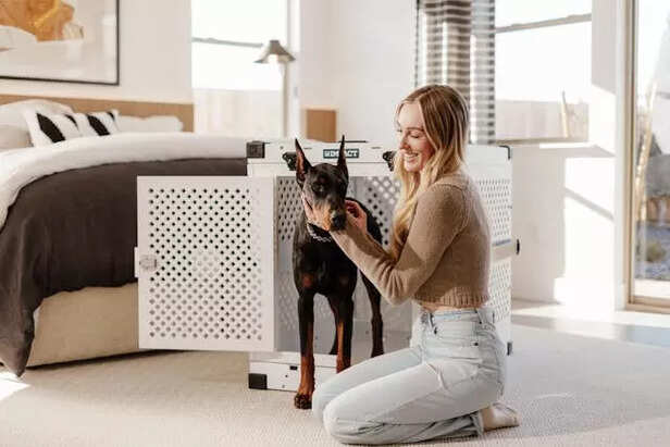 Impact of pet boarding