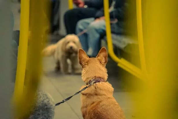 metro ride