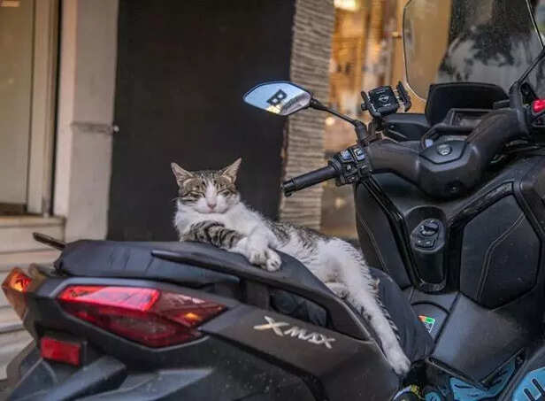 safe journey