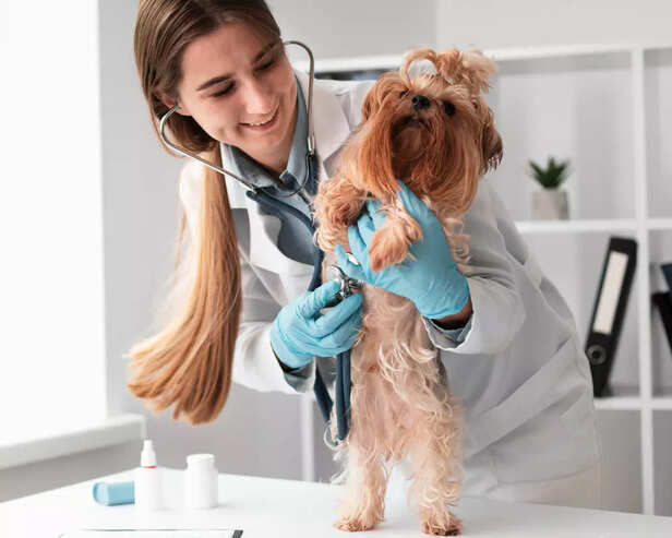 Dog Check-Up