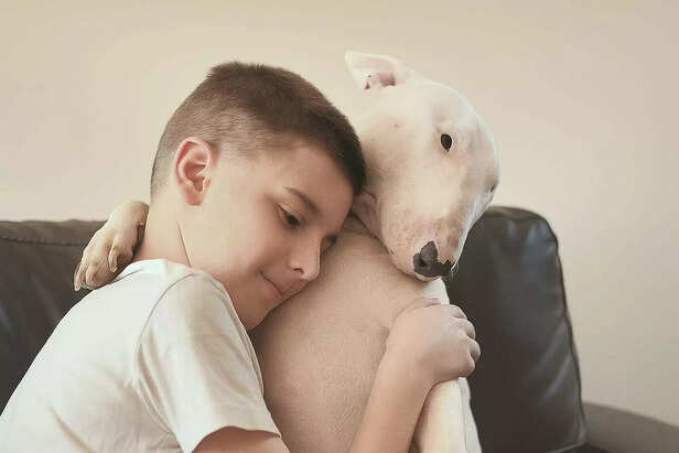 Best Friends Forever: A Boy and His Bull Terrier