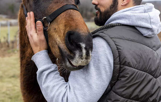 Trust and Technique: Safely Checking Your Horse's Temperature