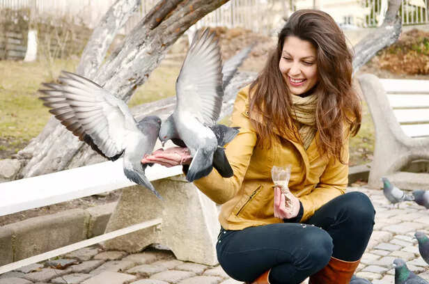 Woman Feeding Pigeons in a Park