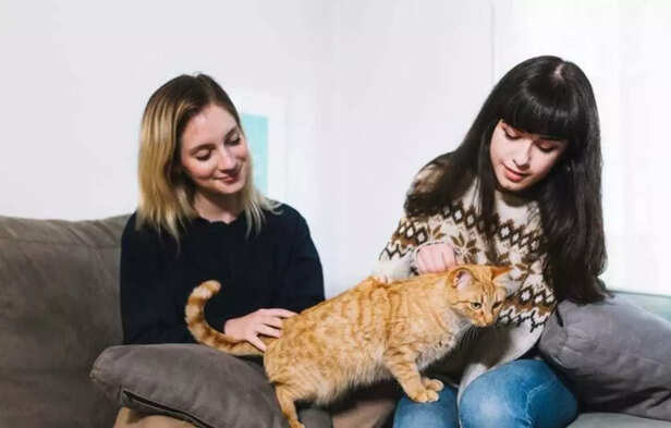 Every small moment becomes magic when you turn your cat’s day into a purr-fect adventure