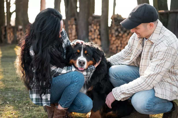 Couple Meeting a Rescue Dog for Adoption Outdoors