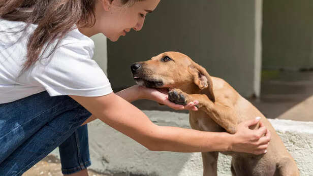Woman Comforting a Rescue Puppy at Animal Shelter