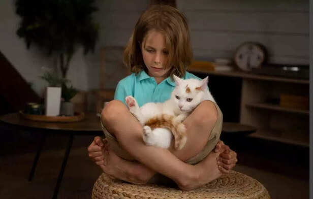 When words fall short, a cat’s quiet presence becomes healing